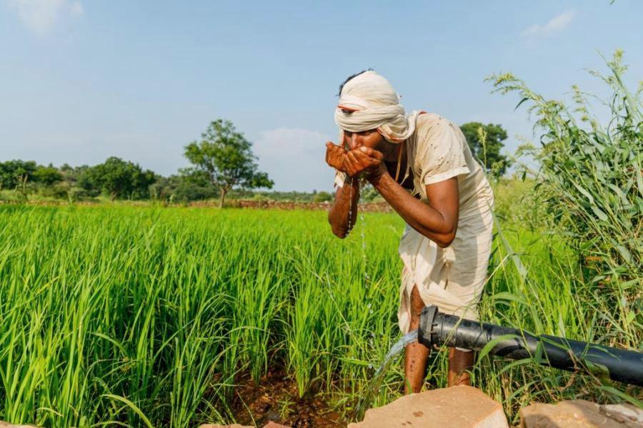 Transforming Arid Lands: YES Foundation’s Fight Against Desertification